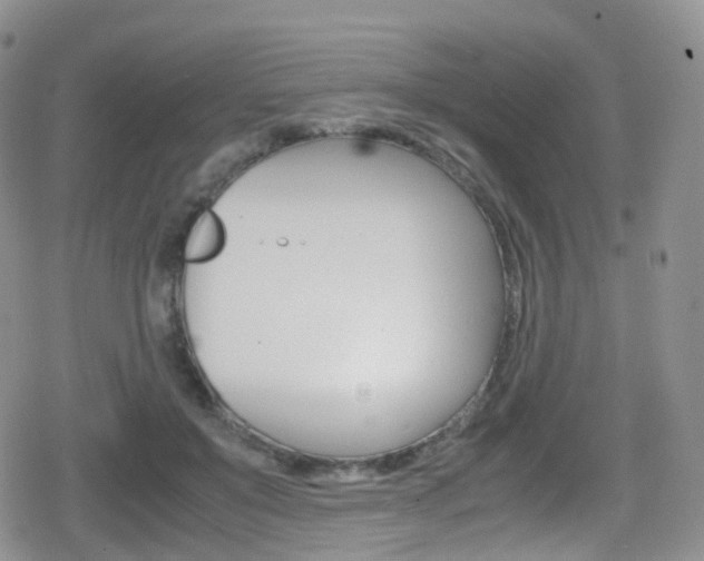 X0000080730503200612150907