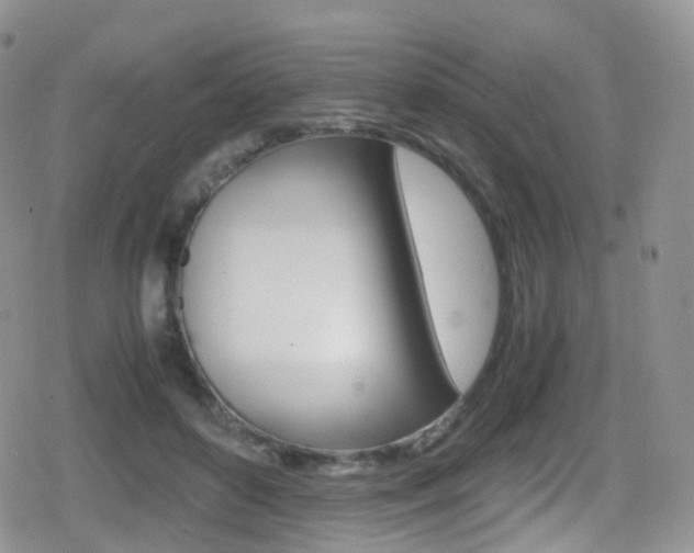 X0000080730504200612150907