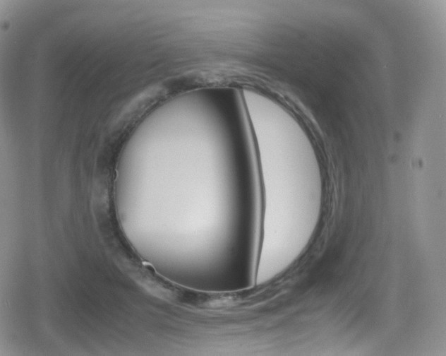 X0000080730505200612150907