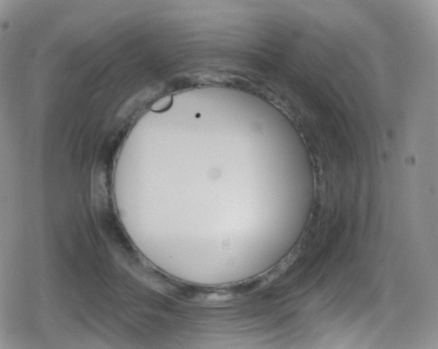 X0000080730506200612150907