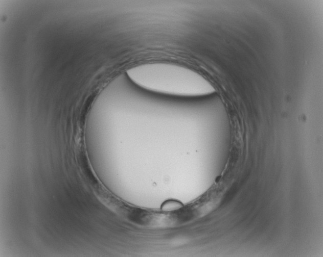 X0000080730507200612150907