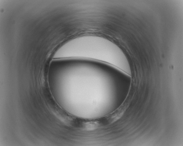 X0000080730508200612150907