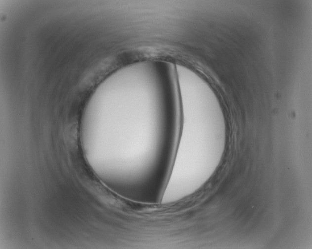 X0000080730509200612150907