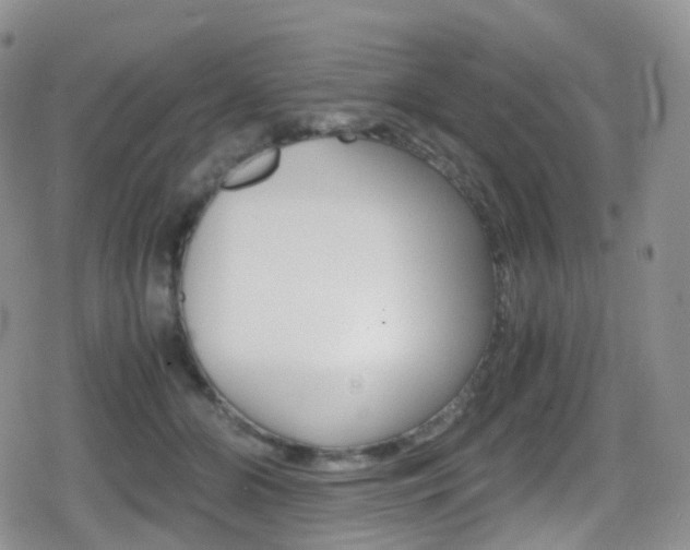 X0000080730510200612150907