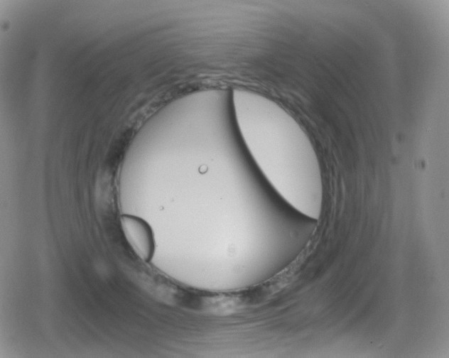 X0000080730511200612150906