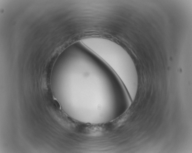 X0000080730512200612150906