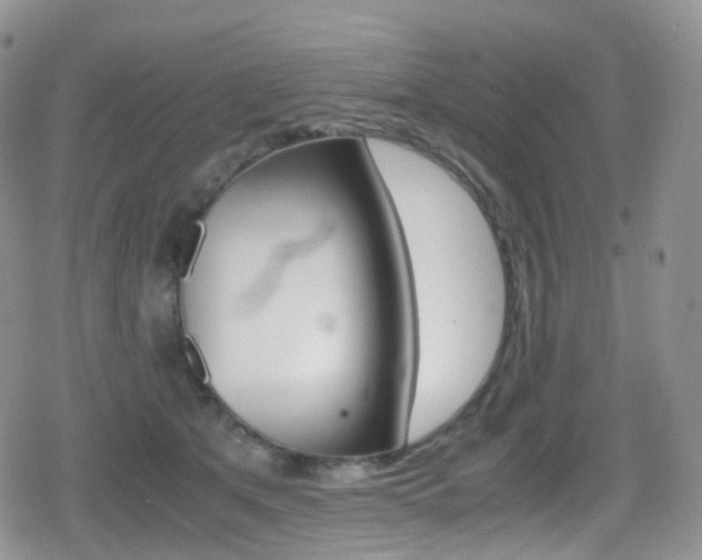 X0000080730513200612150906