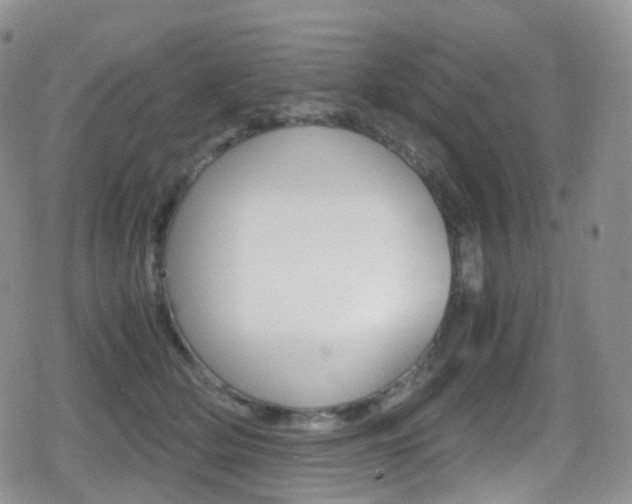 X0000080730514200612150906