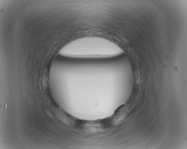 X0000080730515200612150906