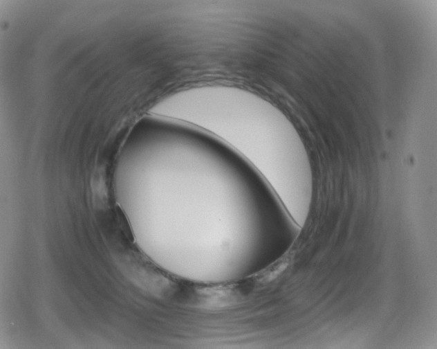 X0000080730516200612150906