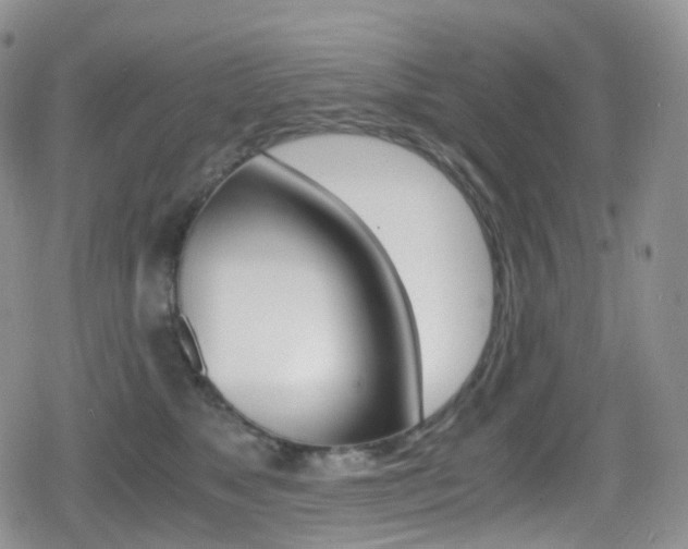 X0000080730517200612150906