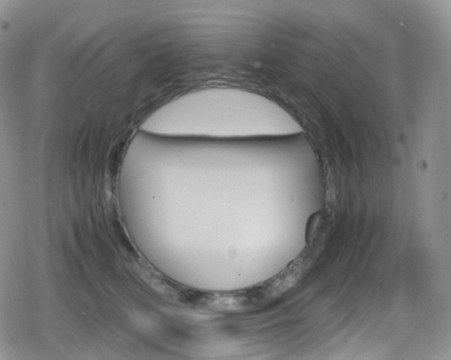 X0000080730518200612150906