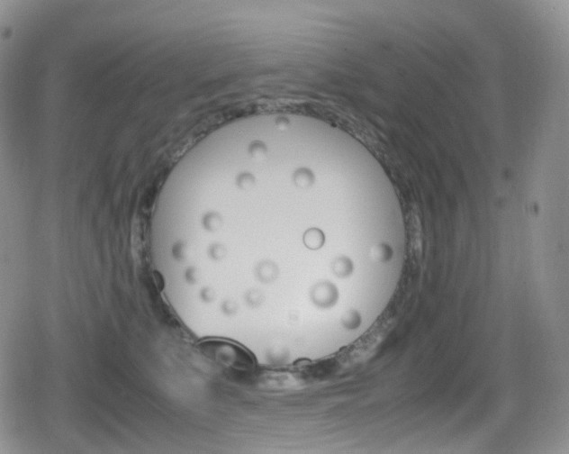 X0000080730519200612150906