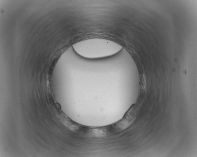 X0000080730522200612150906