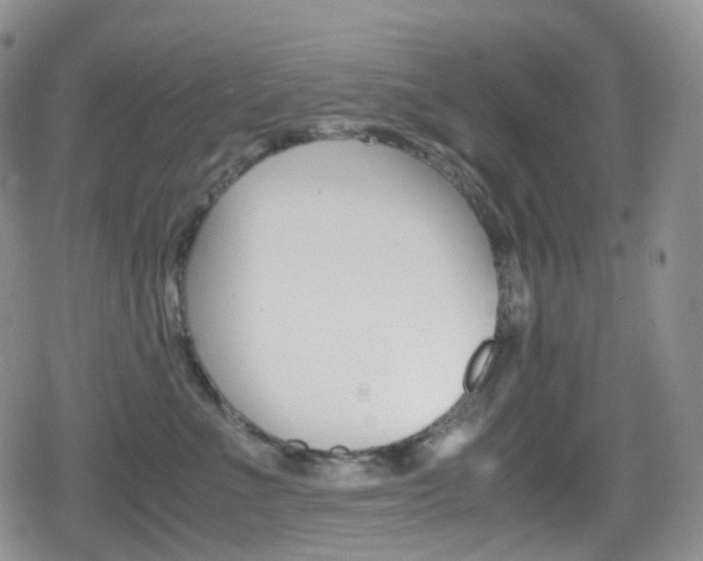 X0000080730523200612150906