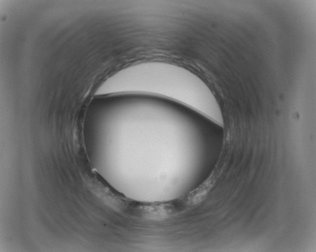 X0000080730524200612150906