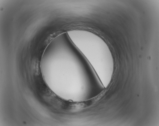 X0000080730525200612150906