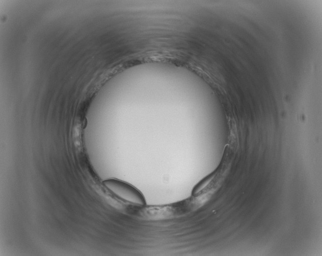 X0000080730526200612150906