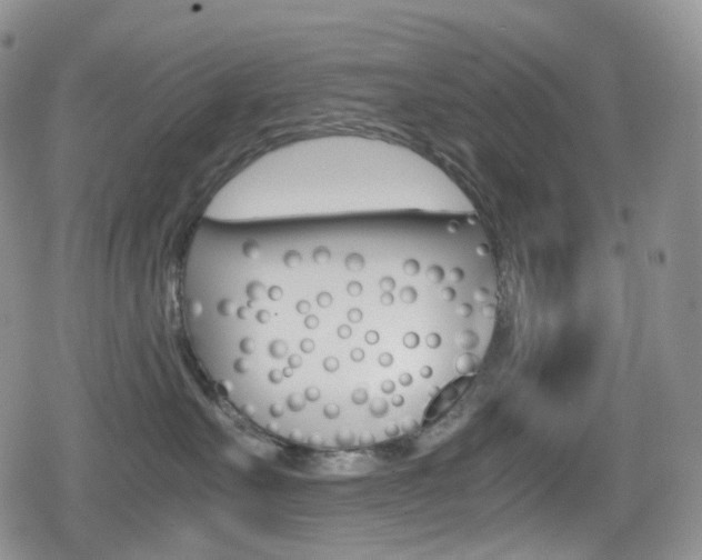 X0000080730527200612150906