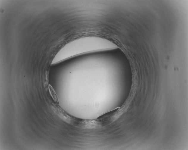 X0000080730528200612150906