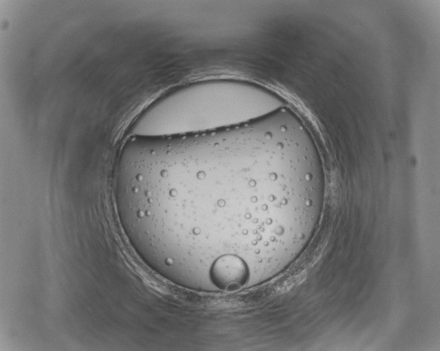 X0000080730529200612150905