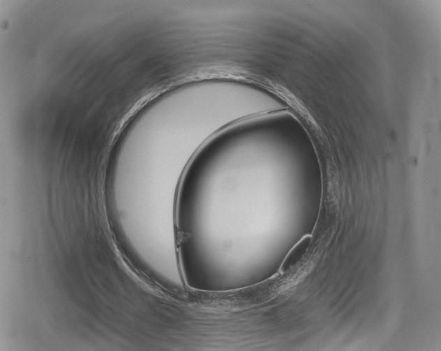 X0000080730530200612150905