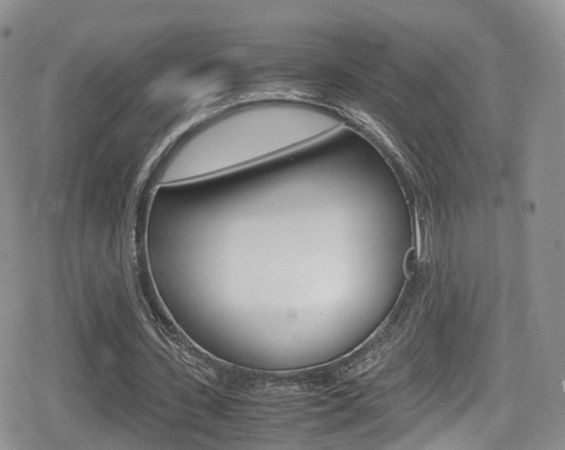 X0000080730531200612150905