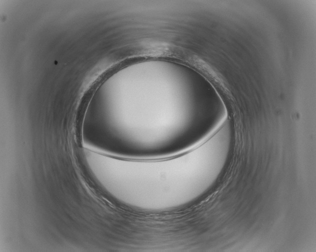 X0000080730532200612150905