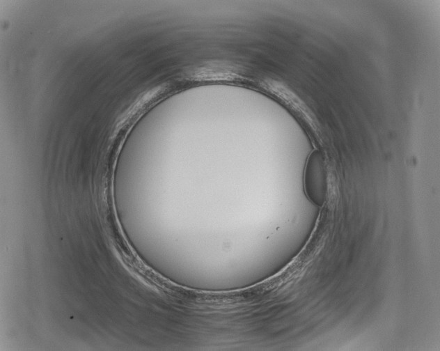 X0000080730533200612150905