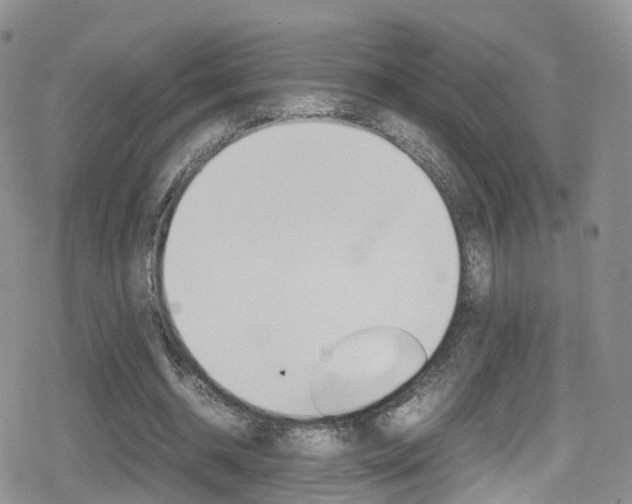 X0000080730534200612150906