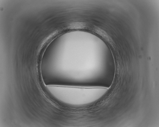 X0000080730535200612150906