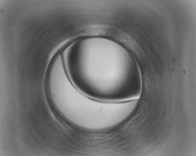 X0000080730536200612150906