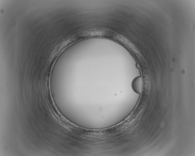 X0000080730537200612150906