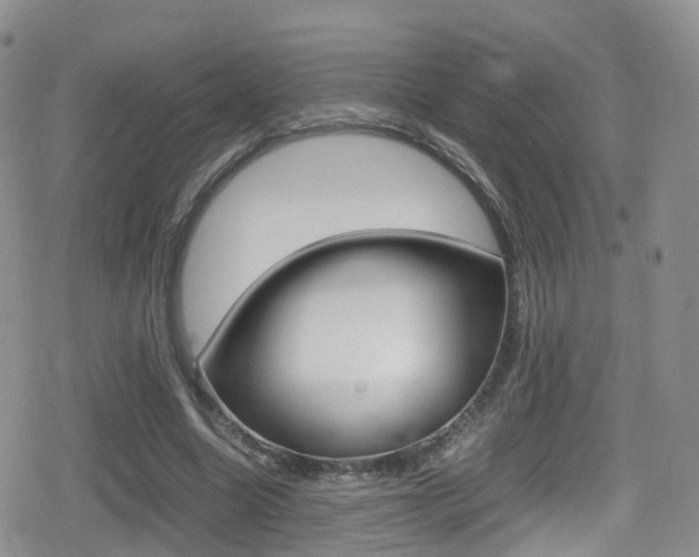 X0000080730538200612150906