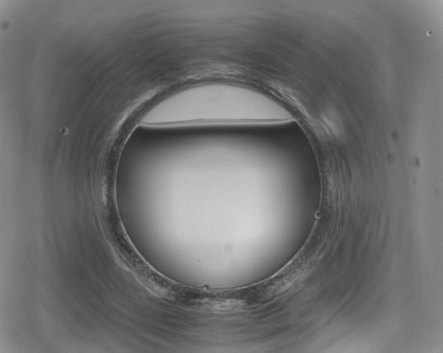 X0000080730539200612150906