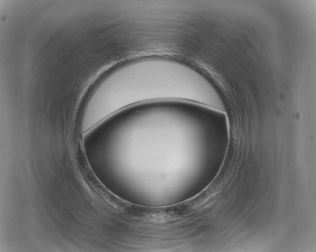 X0000080730540200612150906