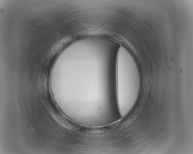 X0000080730542200612150906