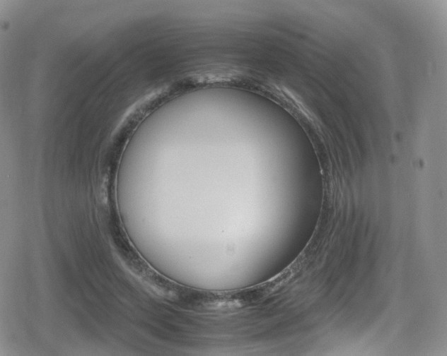 X0000080730543200612150906