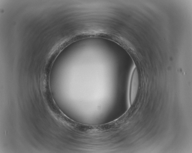 X0000080730544200612150906