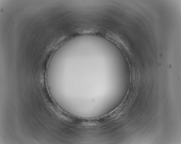 X0000080730545200612150906