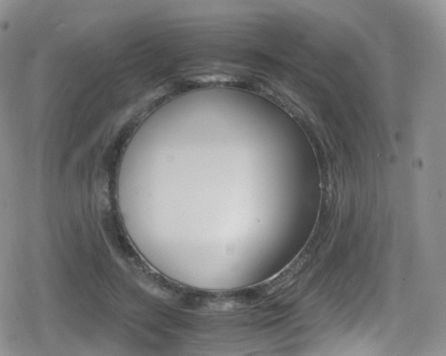 X0000080730547200612150906