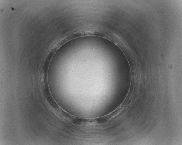 X0000080730548200612150906