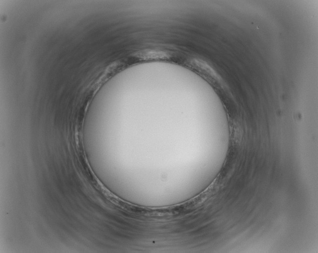 X0000080730549200612150906