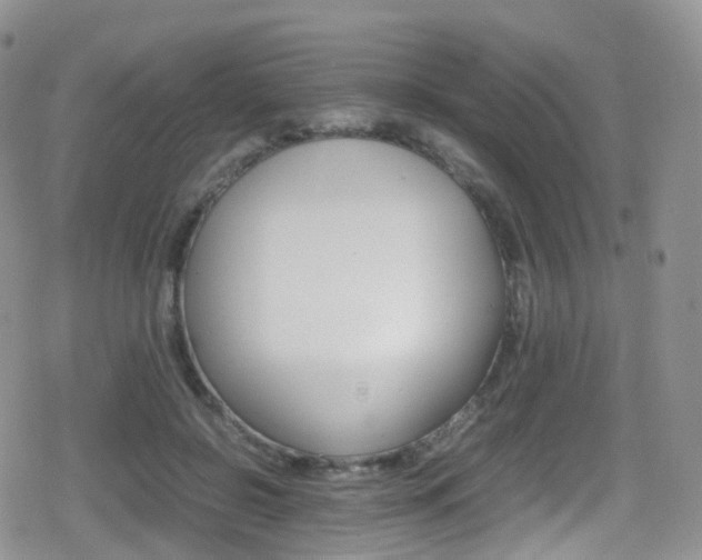 X0000080730550200612150906