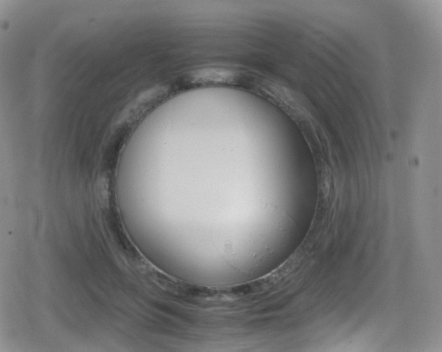 X0000080730551200612150906