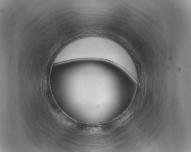 X0000080730552200612150906