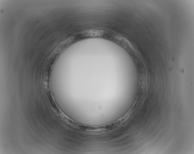 X0000080730553200612150906