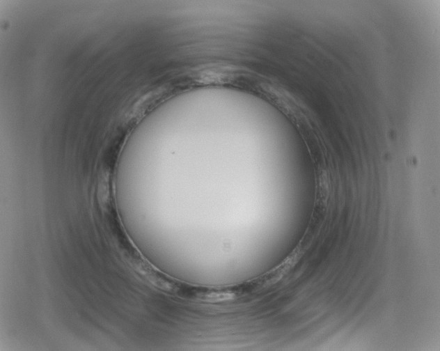 X0000080730554200612150906