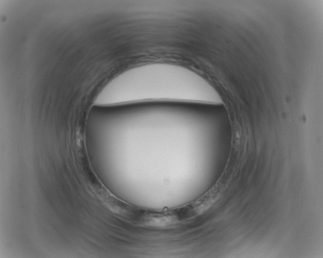 X0000080730555200612150906