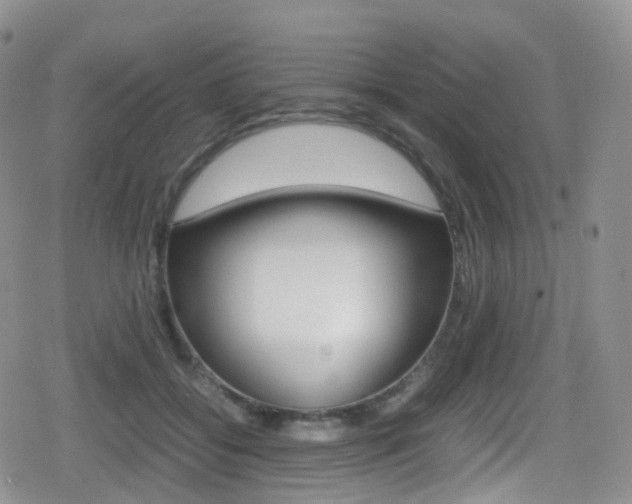 X0000080730556200612150906